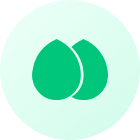 spring pro